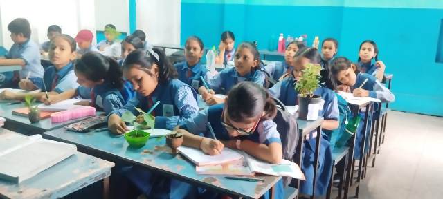 frommans memorial school rewa mp